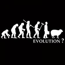 evolution