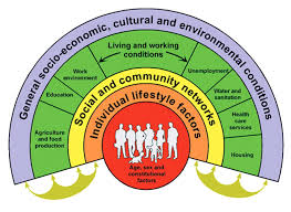 social_determinants
